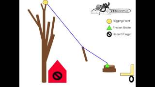 Tree Rigging  Speedline Basics  TreeStuffcom Arborist 101 [upl. by Assilana339]