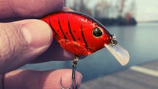 7 LURES for 40 Degree WATER They STILL Bite [upl. by Imis]