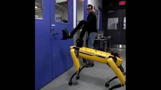 Robot dog voice over hilarious [upl. by Asseret]