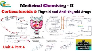 Corticosteroids thyroid and antithyroid drugs unit 4 medicinal chemistry 2 sem 5 b pharm [upl. by Nichani]