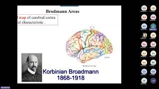 Neuroanat Higher cortical functions By Dr Yasir Elhassan [upl. by Dnana]