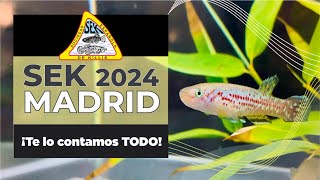 SEK CONVENCION KILLIS 2024  ALPEDRETE [upl. by Asiuol331]