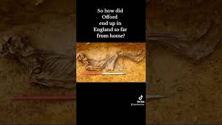 Sarmatian Knight Found in England  Archaeology News archaeologynews archaeology ytshorts [upl. by Mindy]