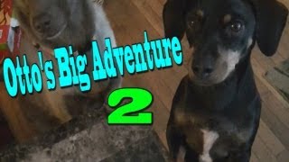 Ottos Big Adventure 2 The Great Cookie Mystery Full Movie [upl. by Ladnar]