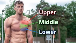 28 Parallel Bars Exercises  Calisthenics and Street Workout [upl. by Aizirtap847]