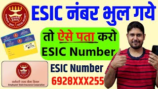 अपना ESIC नंबर कैसे पता करें  esic number kaise pata kare  esic number kaise nikale  esic number [upl. by Boleslaw753]