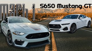 Top 5 Reasons Why I Bought a Mach 1 Mustang over an S650 Mustang GT [upl. by Eicarg]