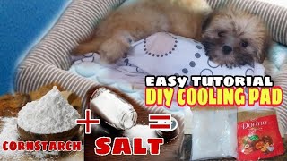 DIY COOLING PAD DOGCAT EASY TUTORIAL  SHIHTZU CHANNEL LANIEVIN [upl. by Doroteya5]