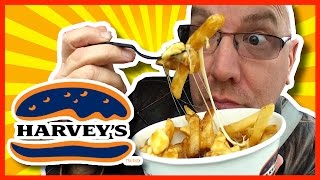 Harveys Poutine Taste Test amp Review  KBDProductionsTV [upl. by Ysus18]