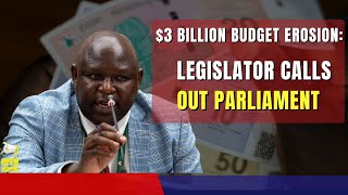 3 Billion Budget Erosion Legislator Calls Out Parliament [upl. by Lem424]