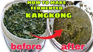 FERMENTED KANGKONG  PARA SA MGA MANOK AT BABOY NA ALAGA NYOfermentedfreerangerhodeisland RIR [upl. by Casper]