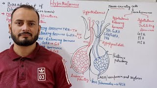 Hypothalamus  Class 11th Biology NEET [upl. by Arluene]