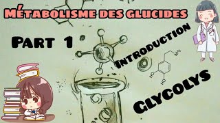 Métabolisme des glucides  introduction les étapes de glycolyse part 1 [upl. by Magna793]