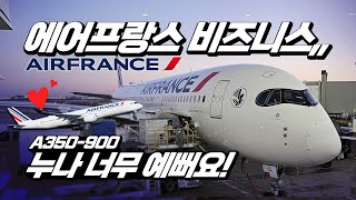 에어프랑스 A350900 뉴 비즈니스  완전신상 쌔삥 뉴뉴뉴 시카고파리 탑승기 [upl. by Imoyaba]