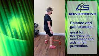 Fall Prevention Friday  Balance and Gait exercise [upl. by Artnoed]