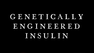 GENETICALLY ENGINEERED INSULIN  CLASS 12 BIOLOGY  NEET [upl. by Dnyletak386]