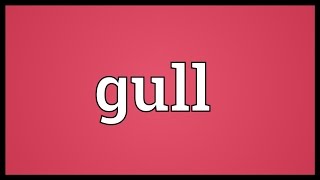 Gull Meaning [upl. by Nyleikcaj]