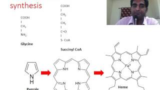 3minute lesson  Biochemistry Heme synthesis [upl. by Akehsyt]