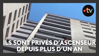 Un immeuble de 14 étages privé dascenseur depuis un an et demi [upl. by Elsilrac]