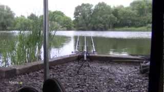 Fenland Dreams  Carp Fishing [upl. by Stanton]