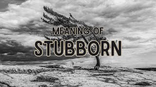 What does Stubborn mean [upl. by Ettezzus]