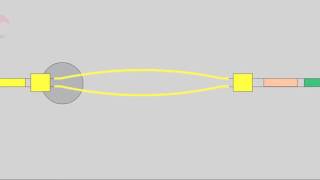 5 2 Isotype Switching [upl. by Nadabus]