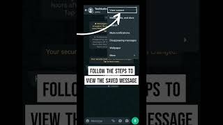 Save Disappearing Messages On WhatsApp [upl. by Meakem]