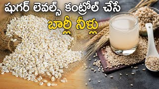 షుగర్ లెవల్స్ కంట్రోల్ చేసే బార్లీ నీళ్లు barley Water Benefits  Barley Water Recipe [upl. by Aivalf495]