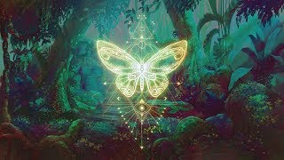 🦋THE BUTTERFLY EFFECT ⁂ Elevate your Vibration ⁂ Positive Aura Cleanse ⁂ 432Hz Music [upl. by Adnirual]