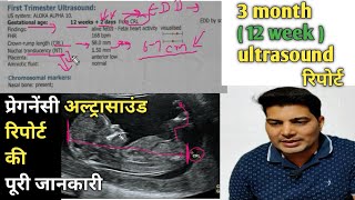 12 week ultrasound  sonography se kaise jane ladka hai ya ladki  6 week ultrasound  trimester [upl. by Aziram]