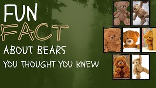 Bears Everyone knows that bears hibernate but did you know this [upl. by Inava]