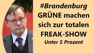 Verfolgungswahn Lang Hofreiter etc sehen riesige Verschwörung  wollen Zensur [upl. by Finstad546]