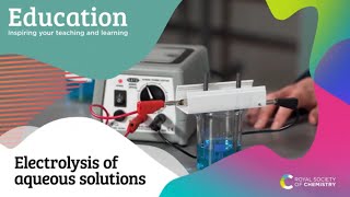 Electrolysis of Aqueous Solutions [upl. by Prasad]