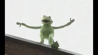 kermit the frog falling off the roof [upl. by Herold]