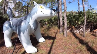 Huge Toy Wolf from Inflatable World [upl. by Netsrijk891]