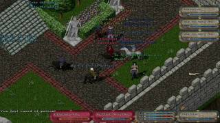 Ultima Online Defiance PvP [upl. by Gery682]