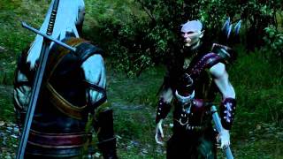 Lets Play The Witcher 013 DeutschHD  Wasserleichen und Salamandra [upl. by Ardnahcal763]