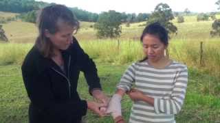 Comfrey Uses amp Comfrey Poultice Demonstration [upl. by Jaela]