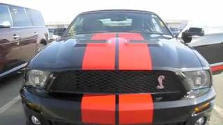 2008 Shelby GT500 Start Up Exhaust and Full Tour [upl. by Mccreery]