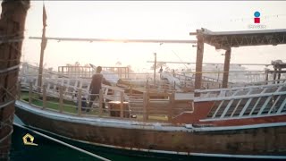 Barcos recolectores de perlas eran el principal ingreso de Qatar  El Oasis del Mundial [upl. by Garvy703]