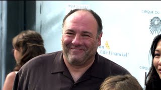 Autopsy Reveals James Gandolfini Dies of Heart Attack [upl. by Darnall]