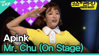 Apink Mr Chu On Stage 에이핑크 Mr Chu On Stage 더쇼 팬PD 170724 [upl. by Sioux]