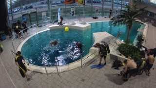 Espace plongée Piscine olympique du Grand Dijon [upl. by Ruthanne]