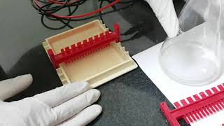 Agarose Gel electrophoresis [upl. by Tade]