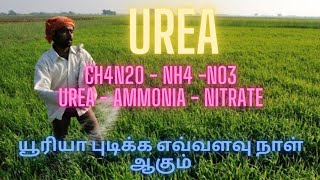 UREA FERTILIZER USE FOR PLANT NITRIFICATION HYDROLYSIS EXPLAINED NANO UREA [upl. by Selina]