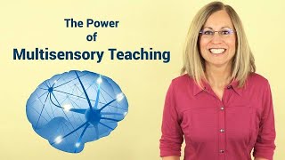 Could Multisensory Instruction Help Your Student [upl. by Enelra]