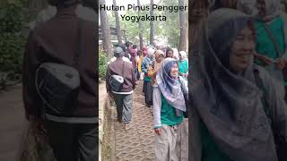 Wisata Hutan Pinus Pengger Yogyakarta [upl. by Sorensen]