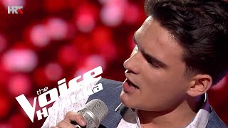 Martin Kosovec quotIll Never Fall In Love Againquot  Nokaut 3  The Voice Hrvatska  Sezona 4 [upl. by Suirtemed]