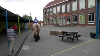 Paarden op school [upl. by Migeon]