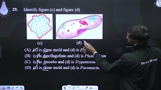 Identify figure c and figure d [upl. by Mosby]